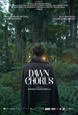 Dawn Chorus