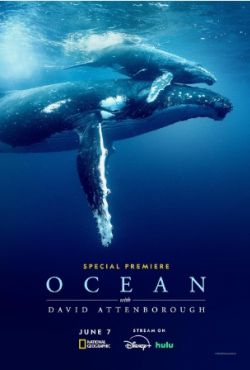 David Attenborough: Świat oceanów / Ocean with David Attenborough