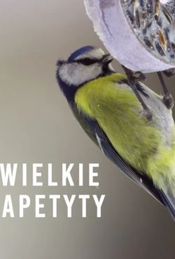 Wielkie apetyty / Giant Appetites