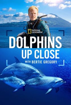 Bertie Gregory: bliskie spotkanie z delfinami / Dolphins Up Close with Bertie Gregory