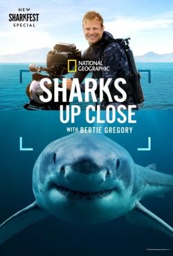Bertie Gregory: Bliskie spotkanie z rekinami / Sharks Up Close with Bertie Gregory