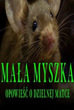 Mała myszka opowieść o dzielnej matce / La Madre Valiente