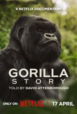 David Attenborough: Opowieść o gorylach / A Gorilla Story: Told by David Attenborough