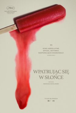 Wpatrując się w słońce