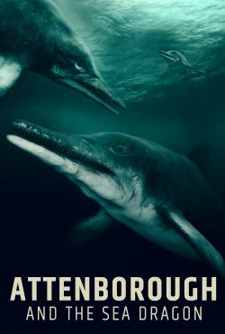 Attenborough i morski smok / Attenborough and the Sea Dragon