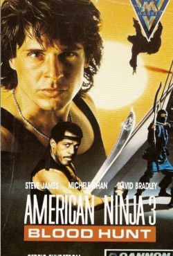 Amerykański ninja 3